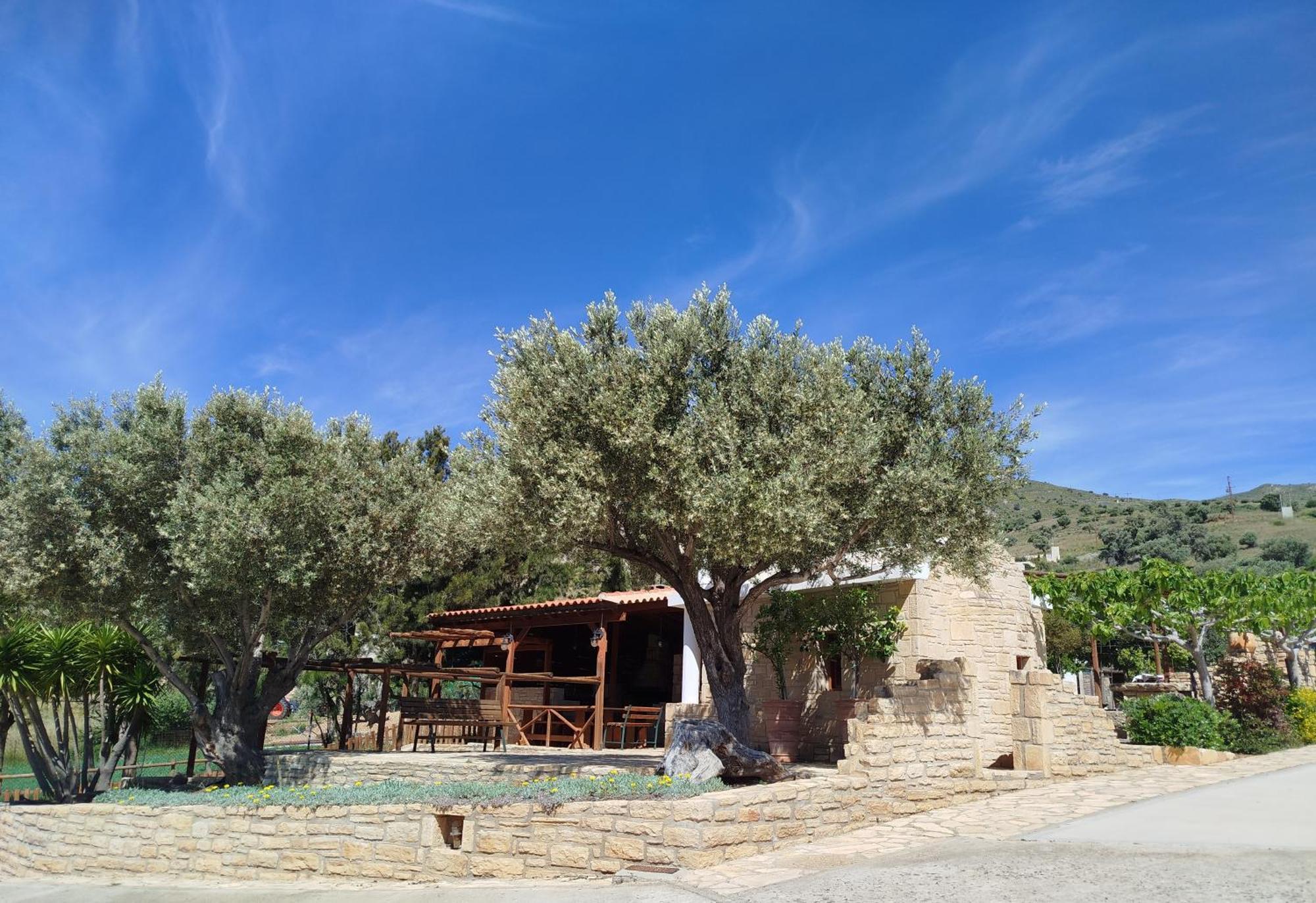 Alexena Apartments Agia Galini Exterior foto